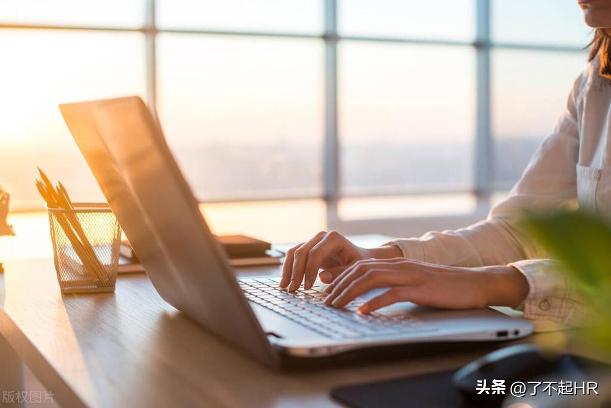 上市公司人力资源管理表格,上市公司人事管理架构图