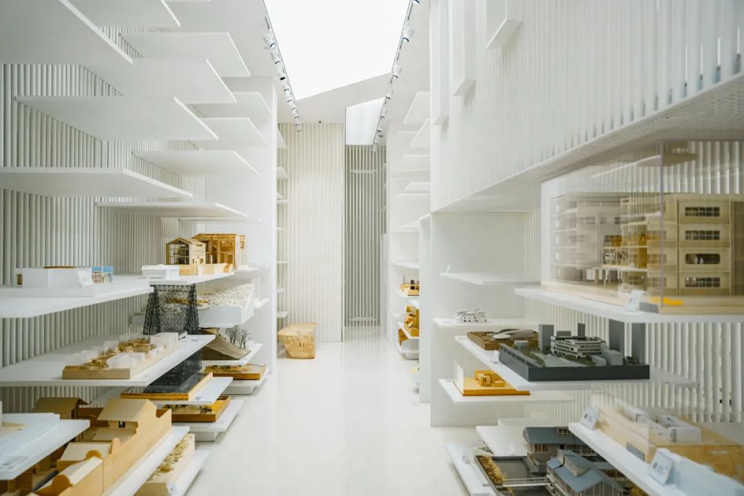 魔都自然博物馆,魔都的博物馆真的很有看头