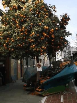 活久见！这些特殊的“专业工具”，简直令人大开眼界！