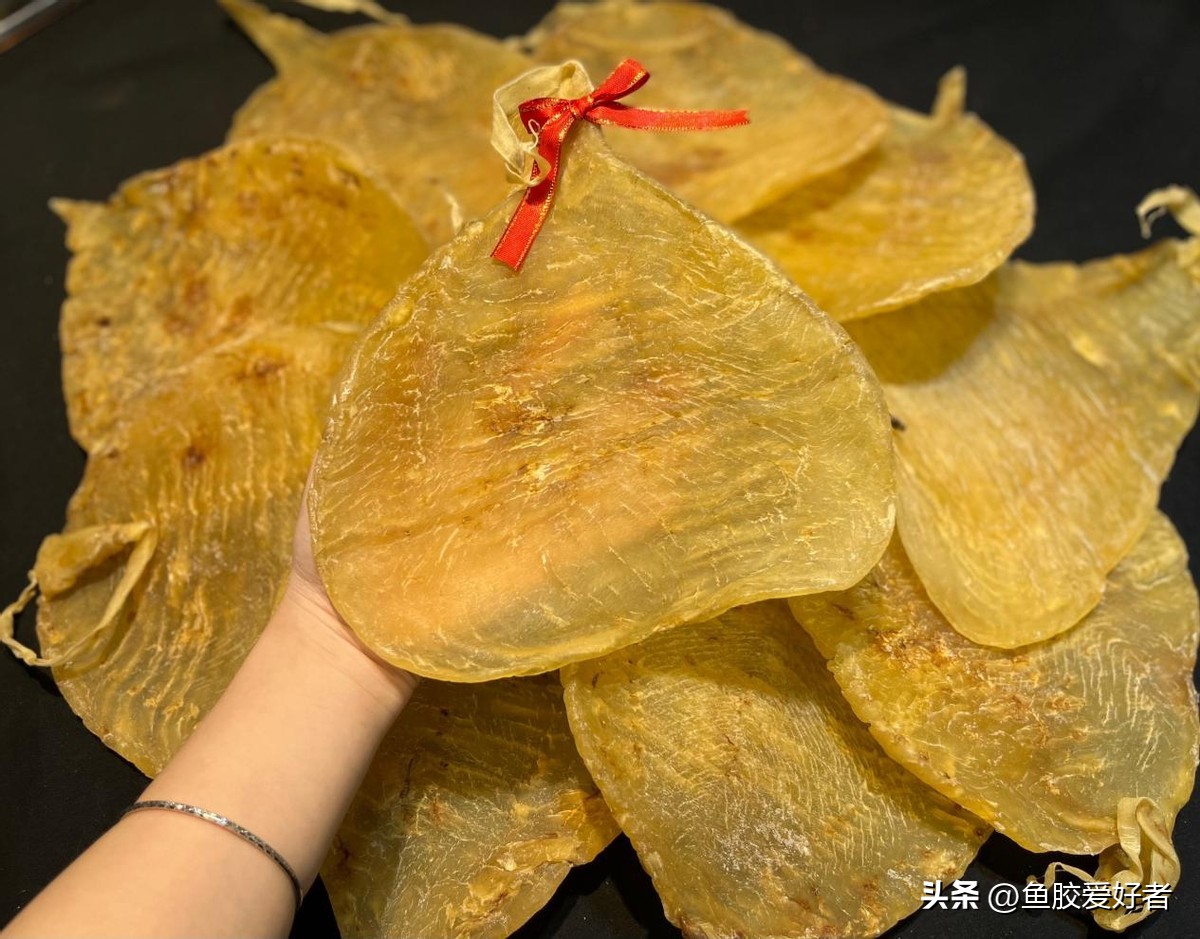 鱼胶哪个产地的最好,鱼胶最好的出产地在哪里