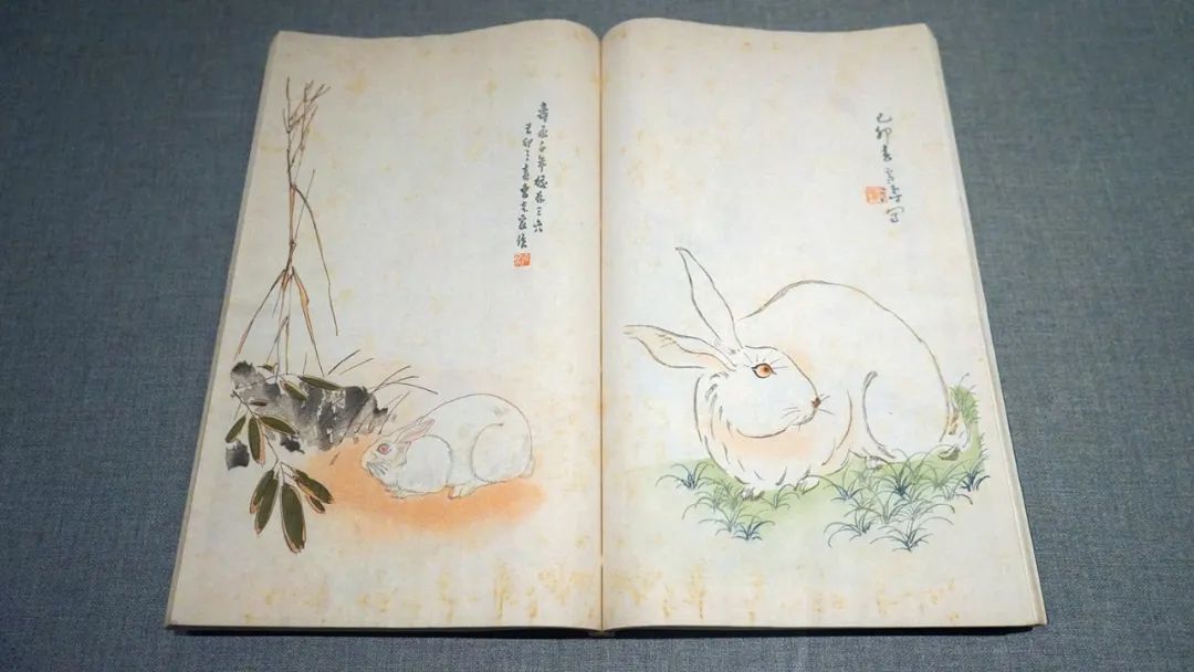 八大山人兔子,八大山人兔价值