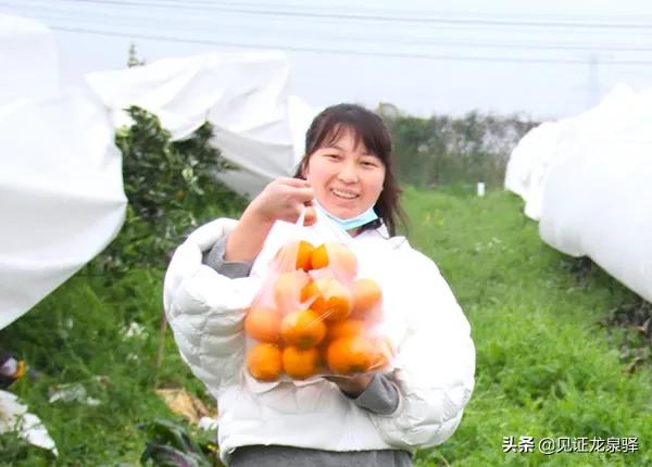 龙泉附近的农庄,龙泉生态农庄