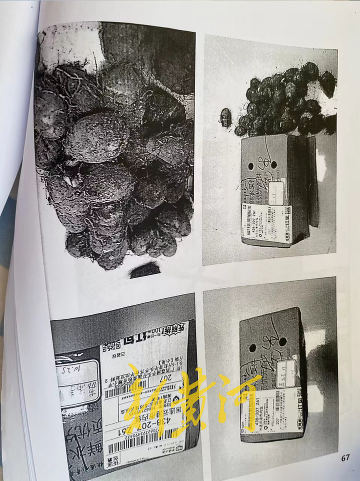 荔浦芋头商标侵权,荔浦芋事件后续