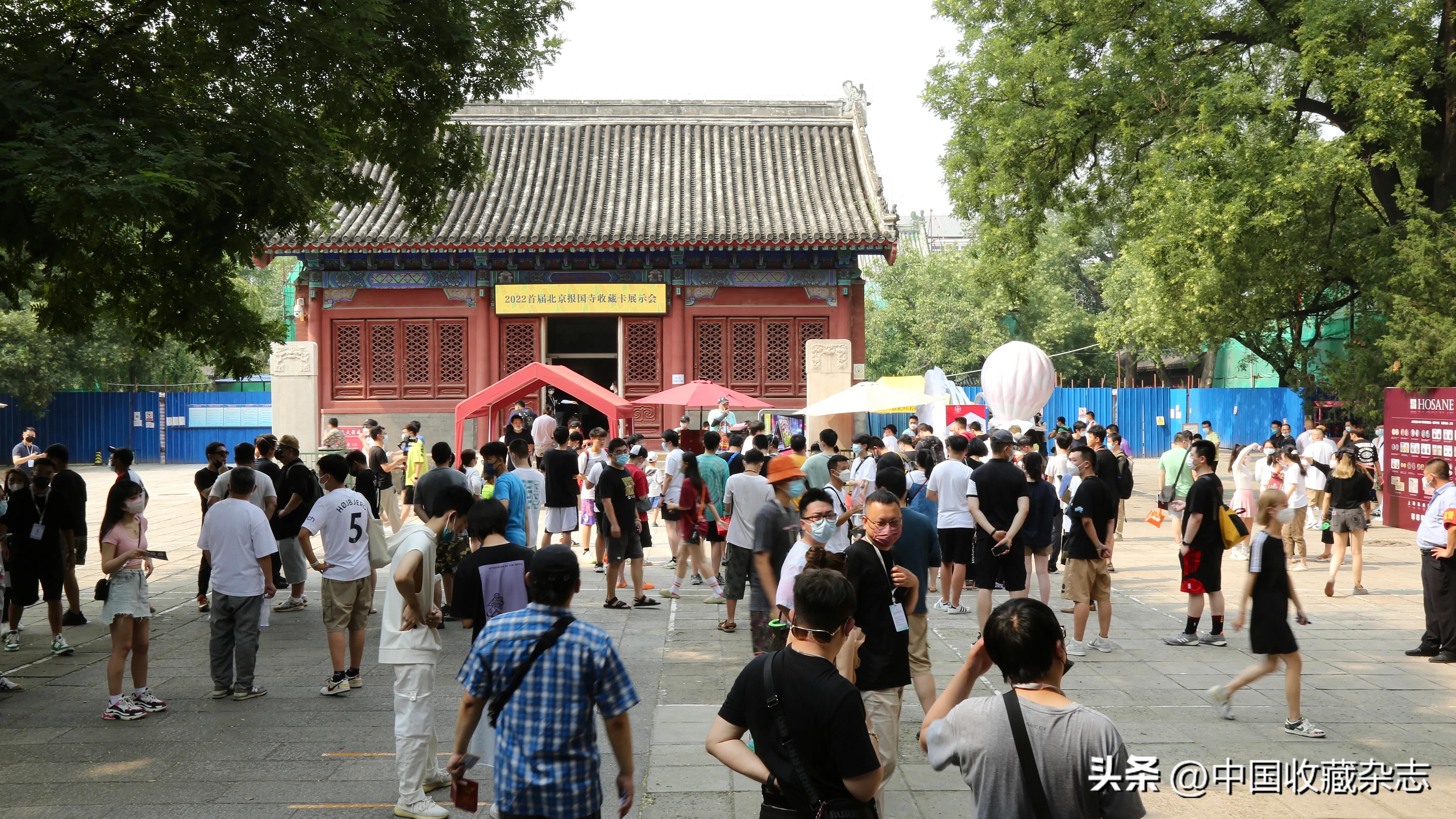 球星卡新手入门篮球,疯狂球星卡社3.0