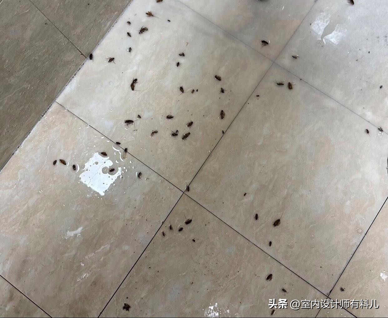 卫生间里撒一把食盐真是太聪明了,卫生间里撒把盐一年能省不少钱