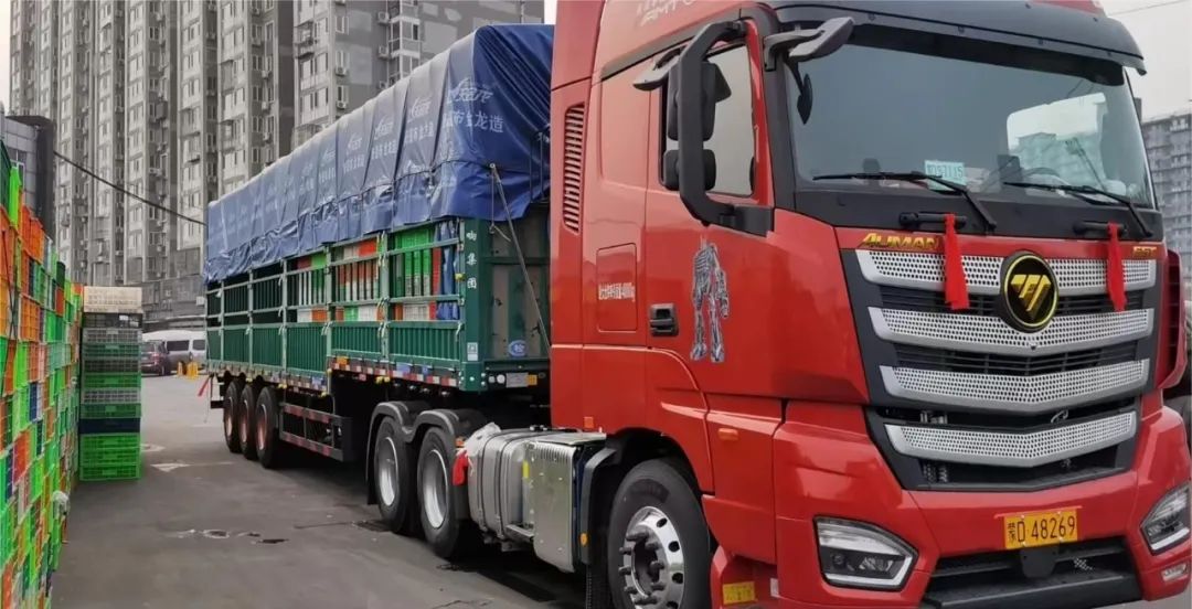 生鲜蛋鸡,10万羽蛋鸡年销售额