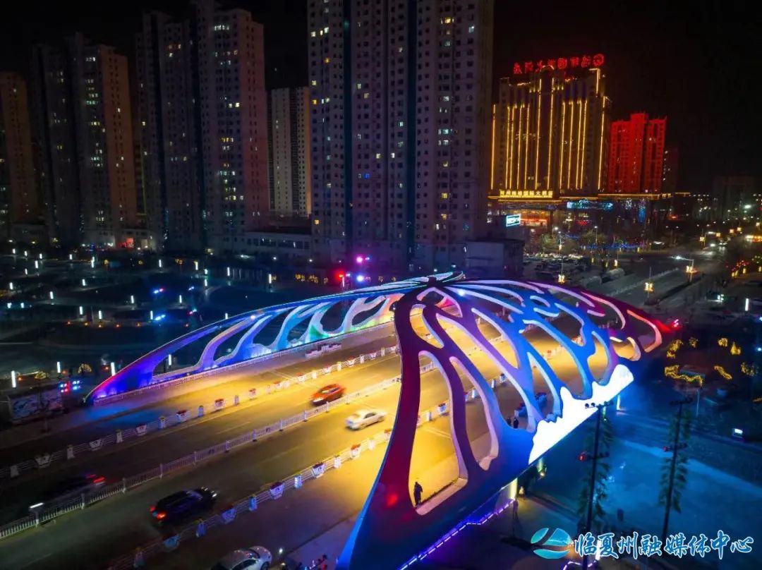 2024骞村宸磋兒閰嶈壊,缁胯壊鐨勫宸磋兒閰嶈壊