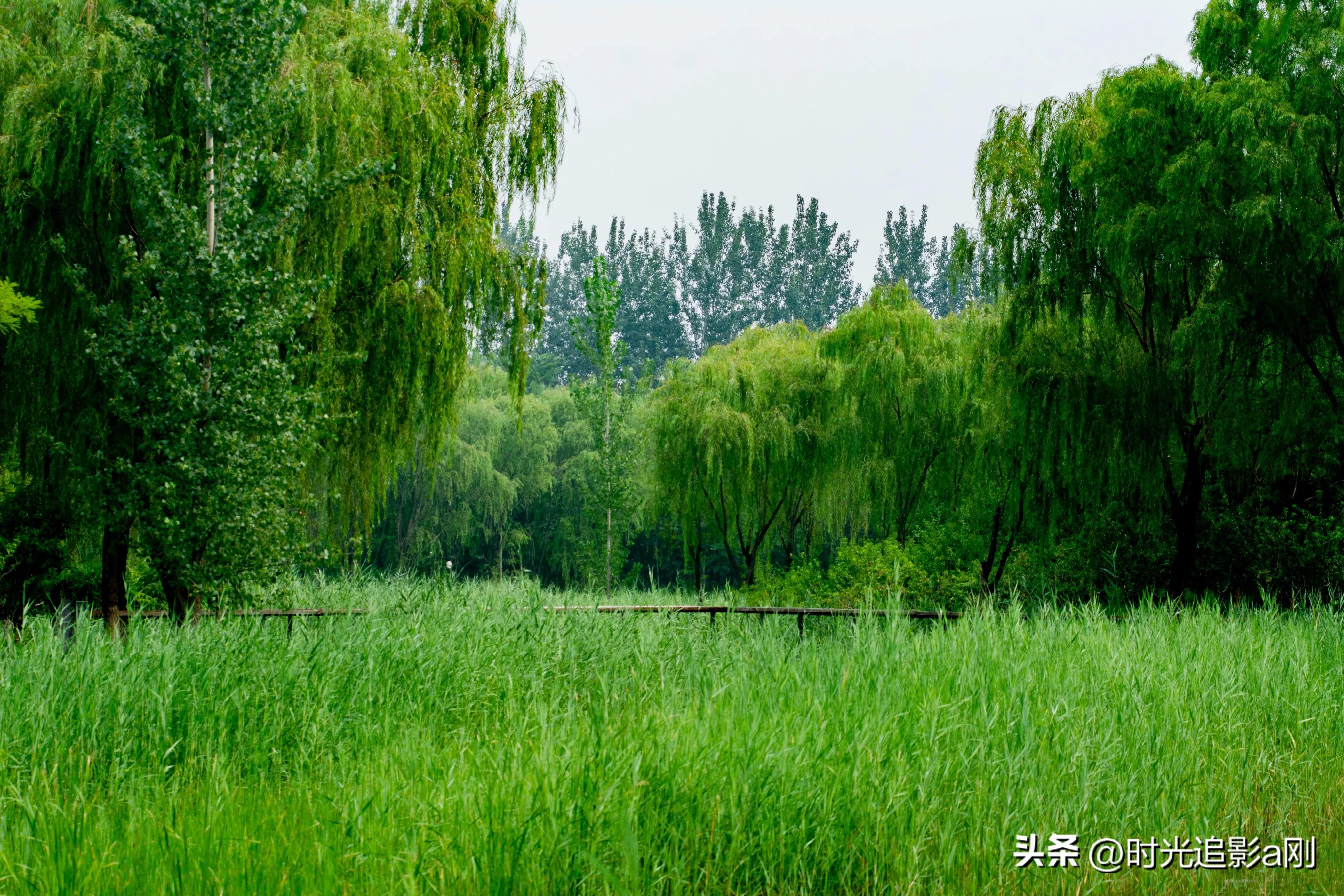 秋日时光音乐会花絮,秋日傍晚公园的美景