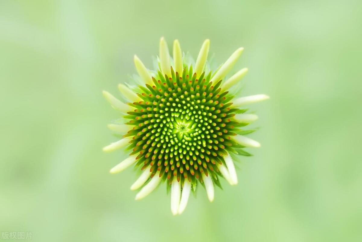 就算爱得卑微也不主动分手的星座,感情里最卑微的三大星座