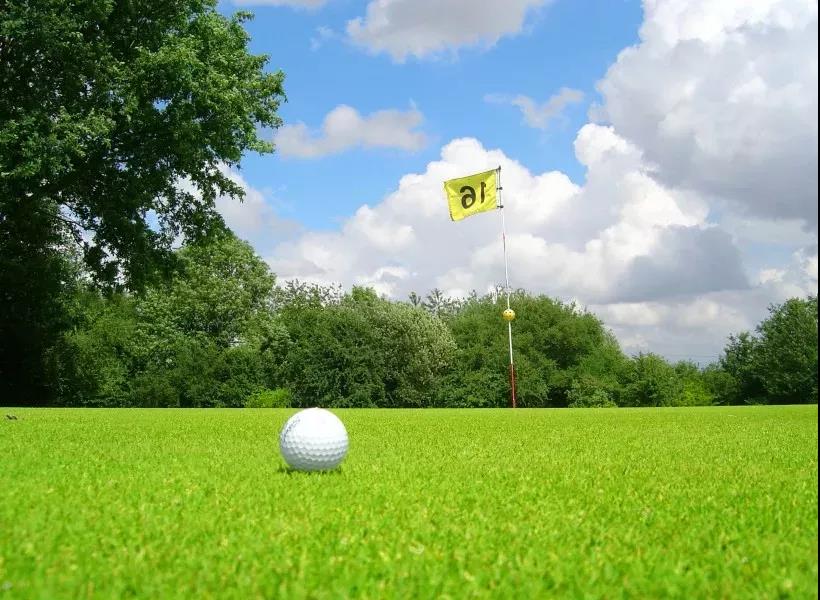 高尔夫基本术语,高尔夫常识100个