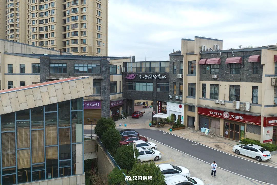 榫欓槼鐪嬮緳钁电殑鐪肩,榫欓槼婀栫湅鏃ュ嚭