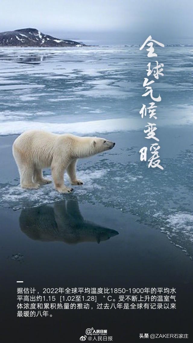 石家庄农批接驳专线,石家庄农批中心接驳专线