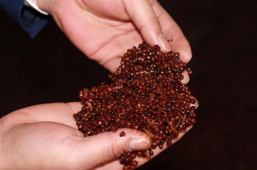 网上买白酒便宜一半,资深酒友白酒推荐哪款最好