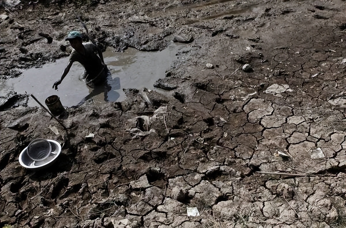 猫咪终究没能避开越南人的屠刀,越南人日食上万只猫,为啥爱吃猫