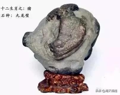 难得一见的仙鹤假奇石,这些难得一见的奇石美醉了