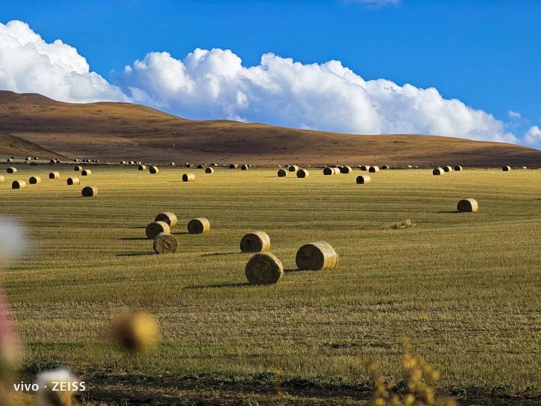 vivox90影像战略发布会,vivox90标准版影像效果