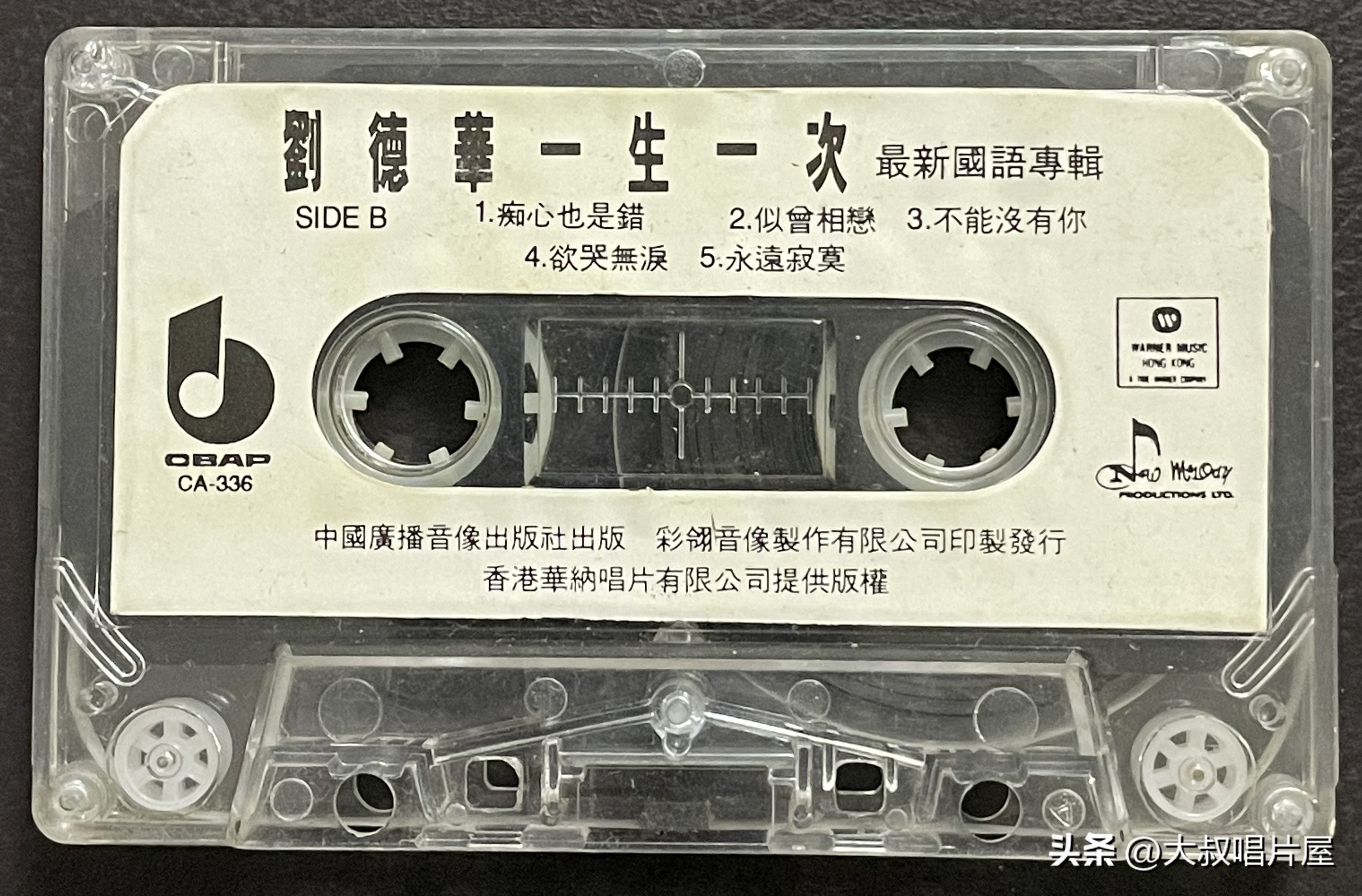 1993年中国神曲,1993年华语乐坛神曲大爆发