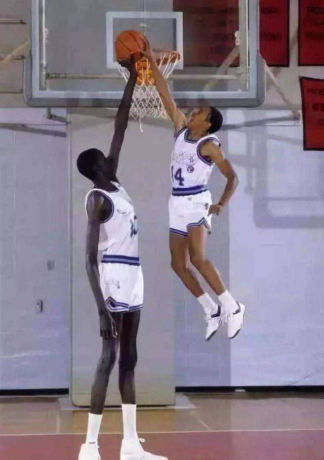 nba马努特波尔站立摸高,马努特波尔nba生涯数据