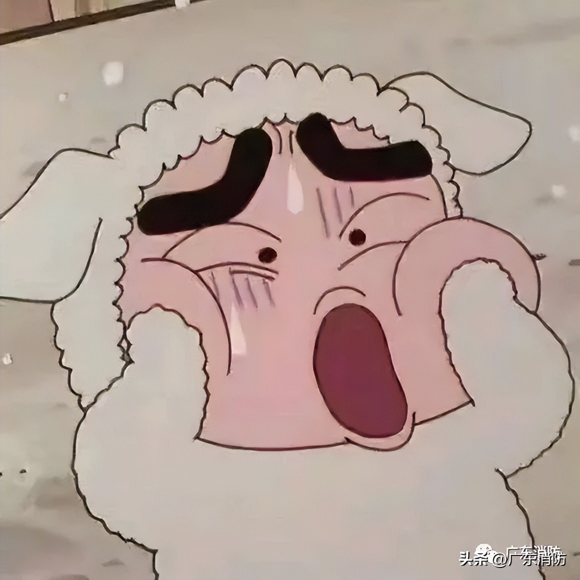 客机空中起火安全落地,航班起飞后起火185名乘客逃过一劫