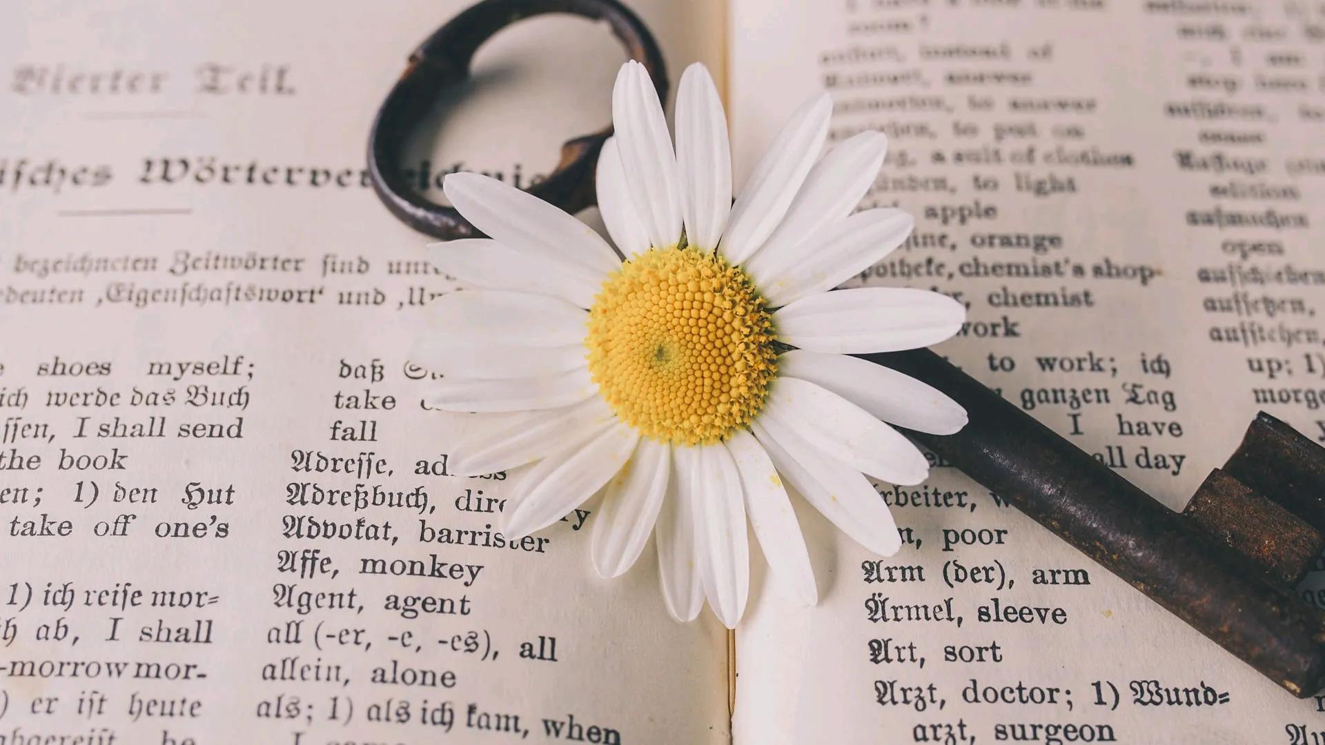 100个中国传统文化名词英文表达,中国传统文化英语名词的表达