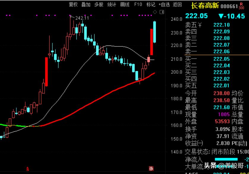 新手不要盲目炒股,新手炒股不亏怎么办