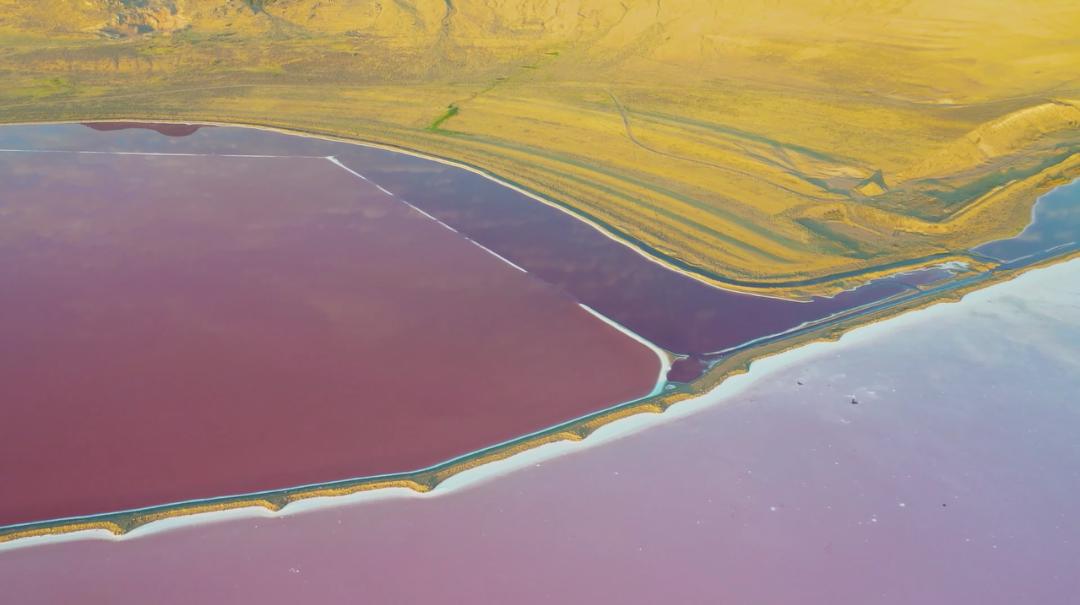 向北向北！|“美”在内蒙古