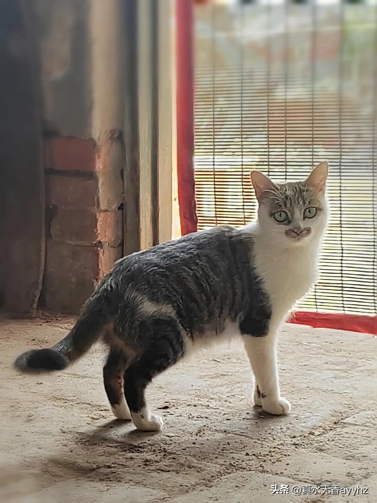 手工鞋垫唤起童年记忆,老一辈留下的手工鞋垫