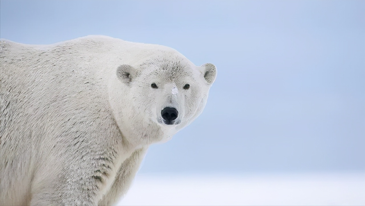 强迫症的治愈方法和技巧,强迫症治愈的最佳方法