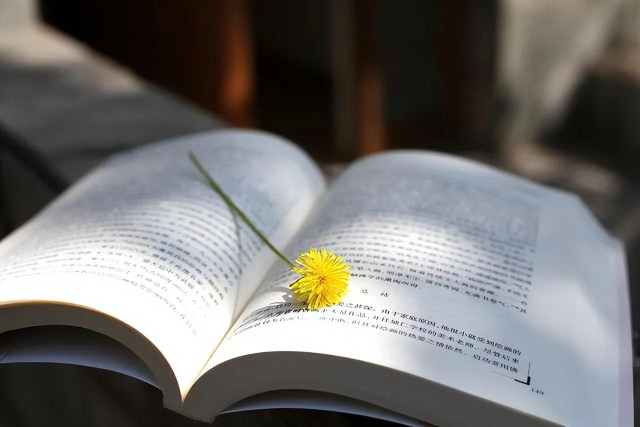 2023高考语文基础知识会考吗,2023高考语文基础题