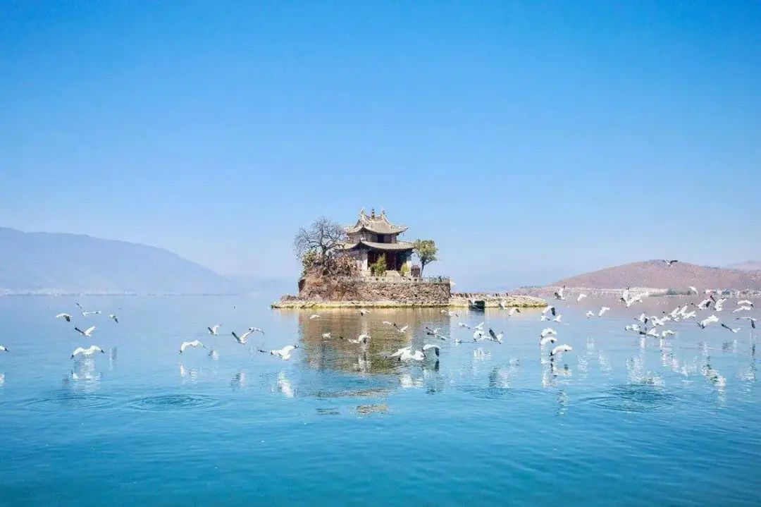 淡季大理堪称人间理想,大理的旺季真实体验