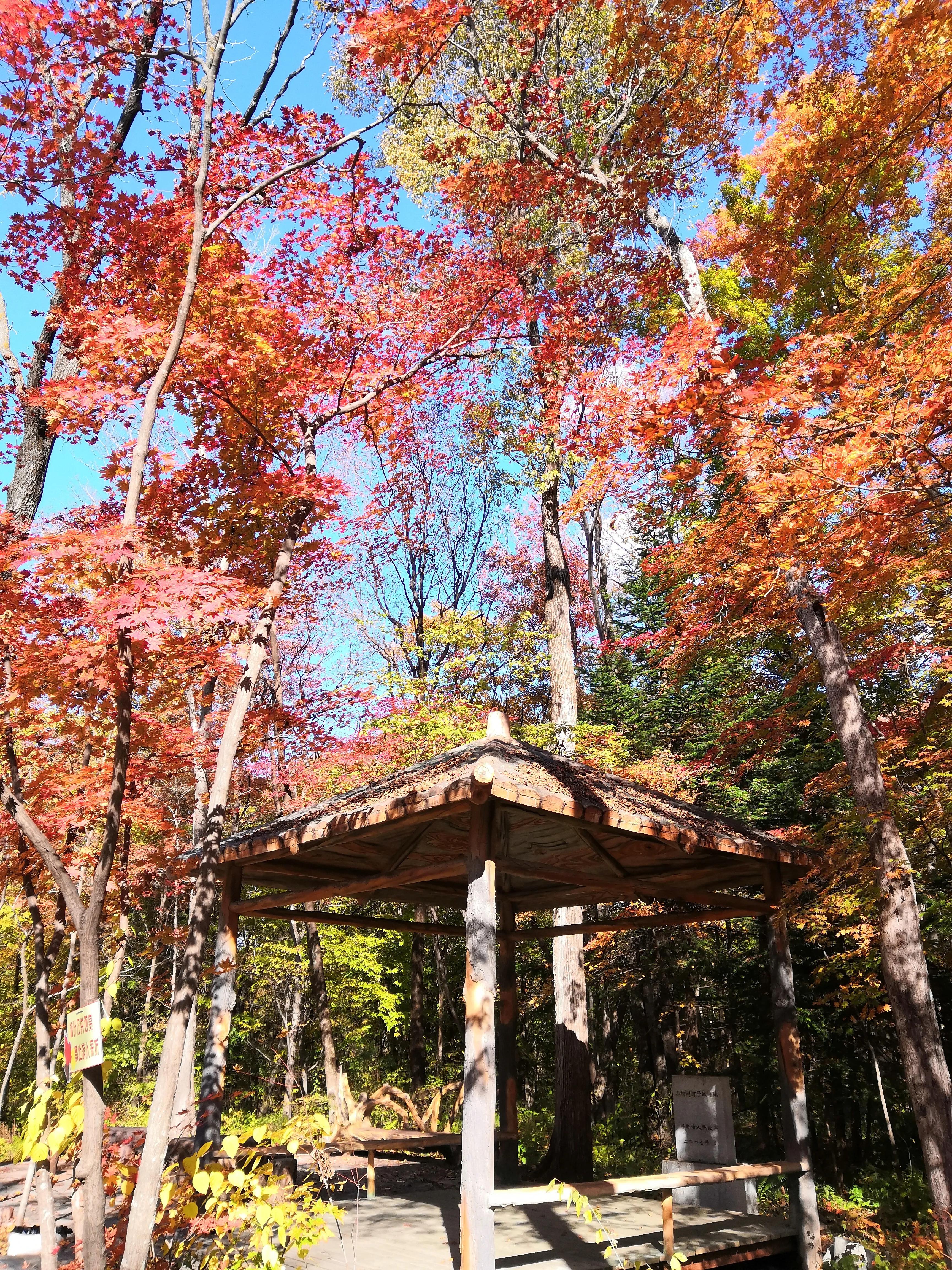 平心静气去拜道观还是寺庙,平心静气放松