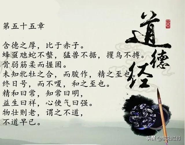 益生元与益生元有什么区别,益生曰祥到底怎么解释