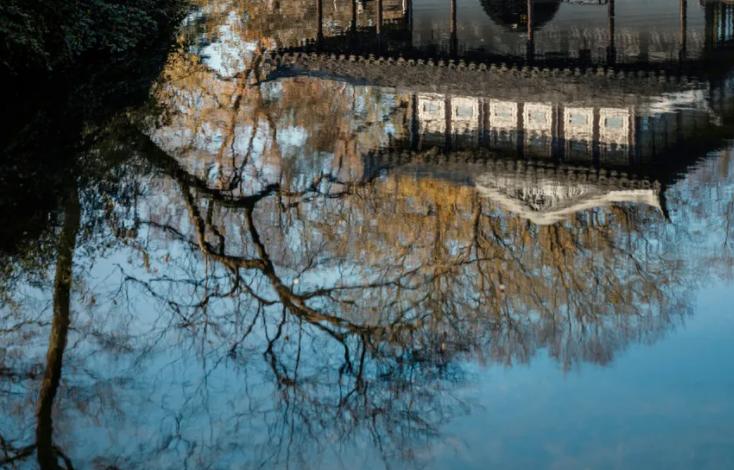 客厅养植物有什么讲究,客厅养树有什么讲究