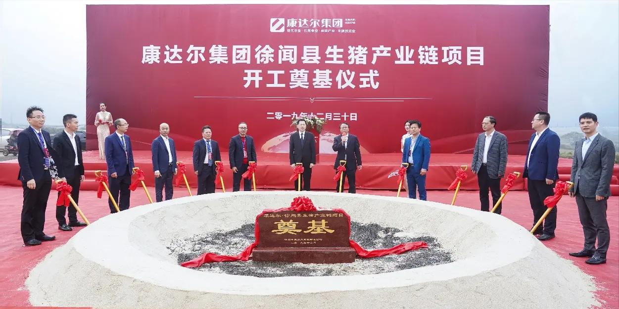 京基恶意并购康达尔在哪一年,京基集团借壳康达尔