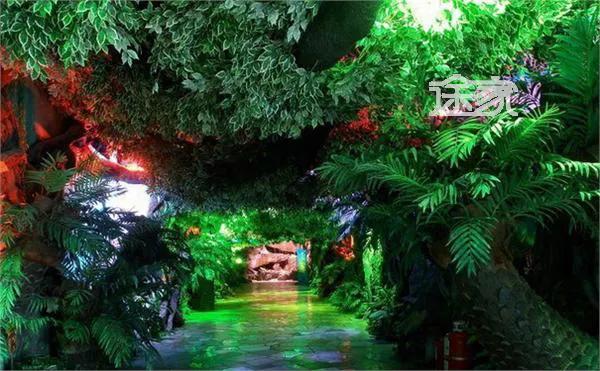 观澜海洋世界游玩攻略,深圳观澜海洋世界