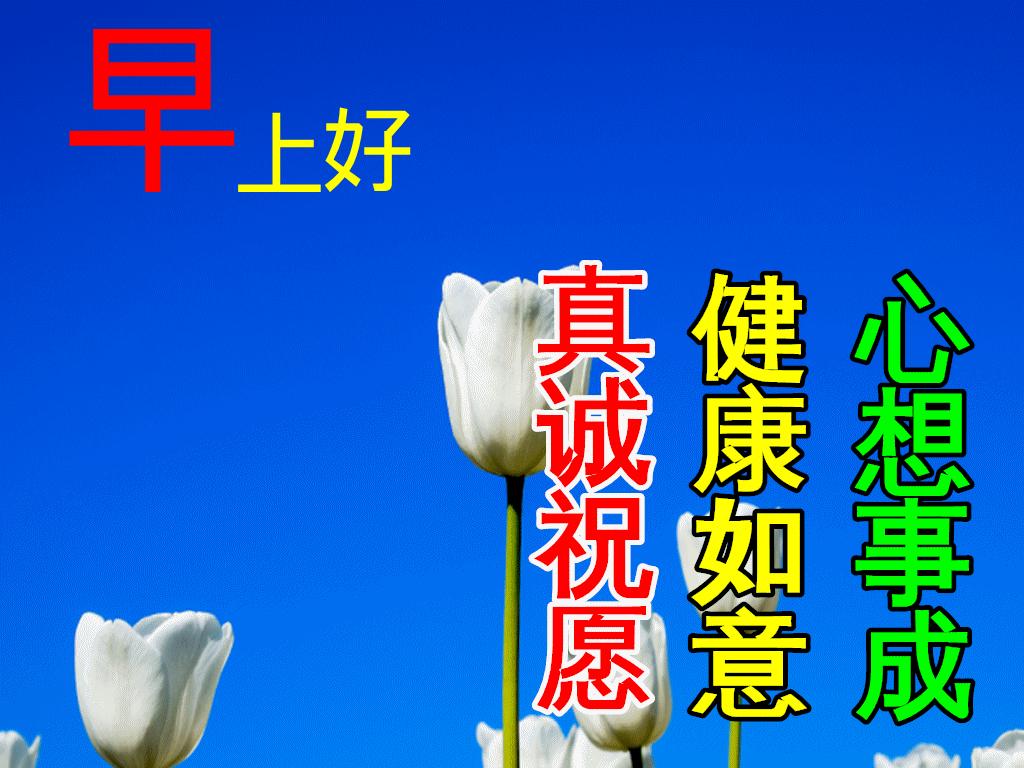 九月早上祝福,九月九早上好的祝福视频