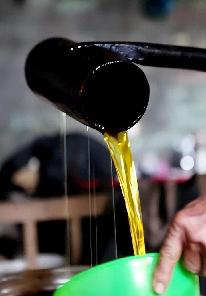 曾是皇帝*用御**，如今却无人问津，“油中软黄金”如何走向末路？