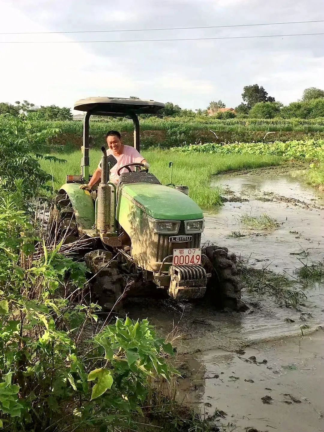 浼犳壙绾㈣壊鏍硅剦鍏卞缓骞哥瀹跺洯,鎼烘墜鍏卞缓绾㈣壊瀹跺洯