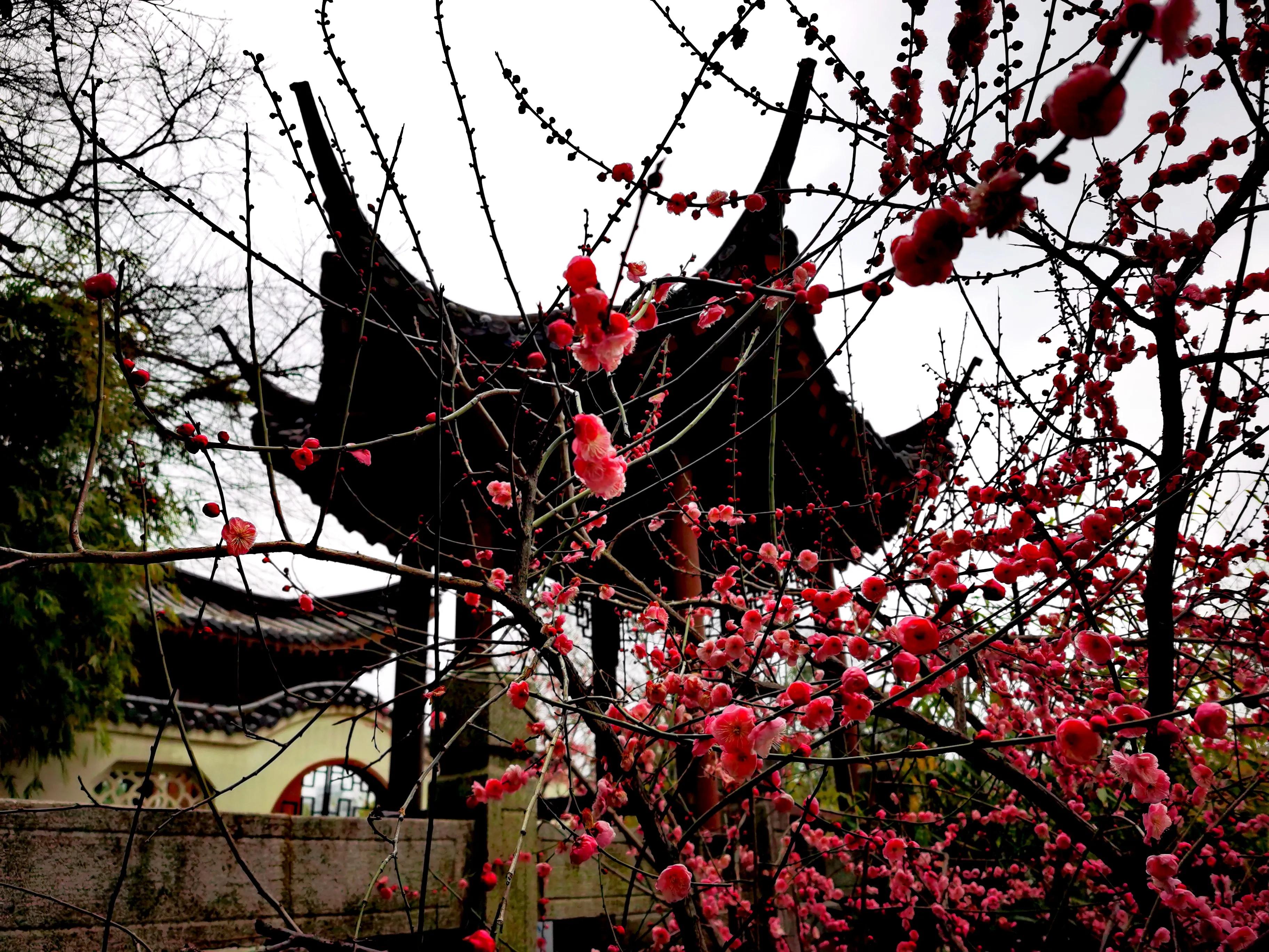 黄鹤楼珍品细支,黄鹤楼外烟