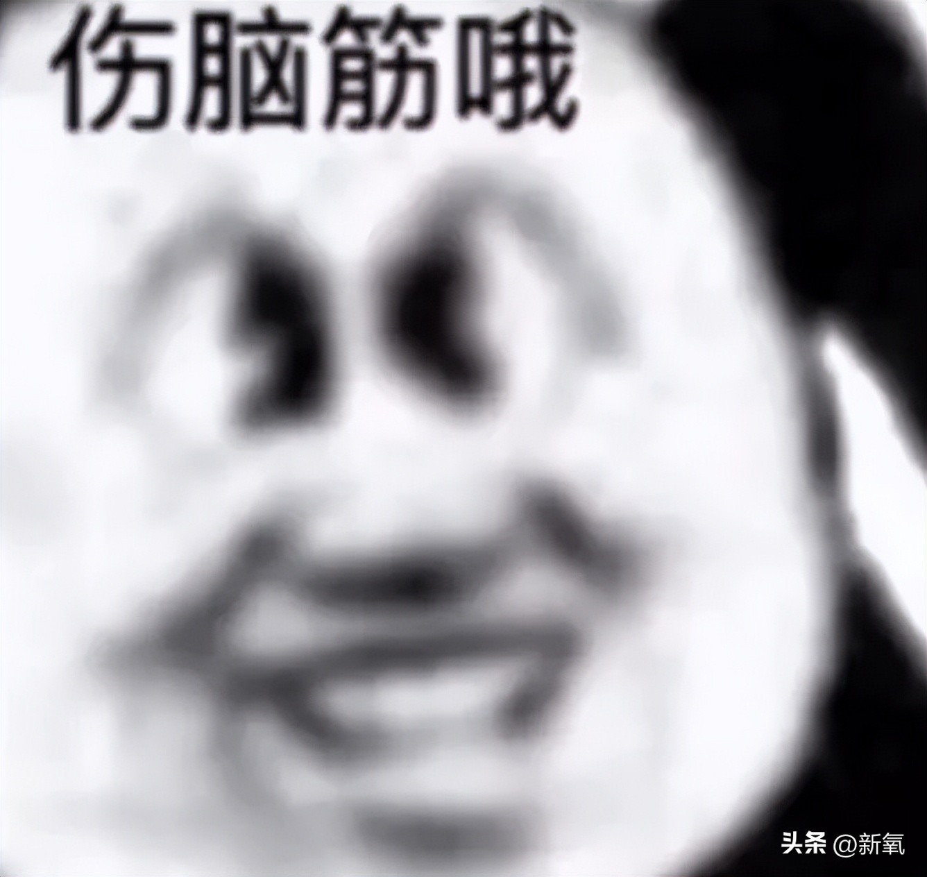 马东锡和芮呈和如何认识的,马东锡和芮呈和合影