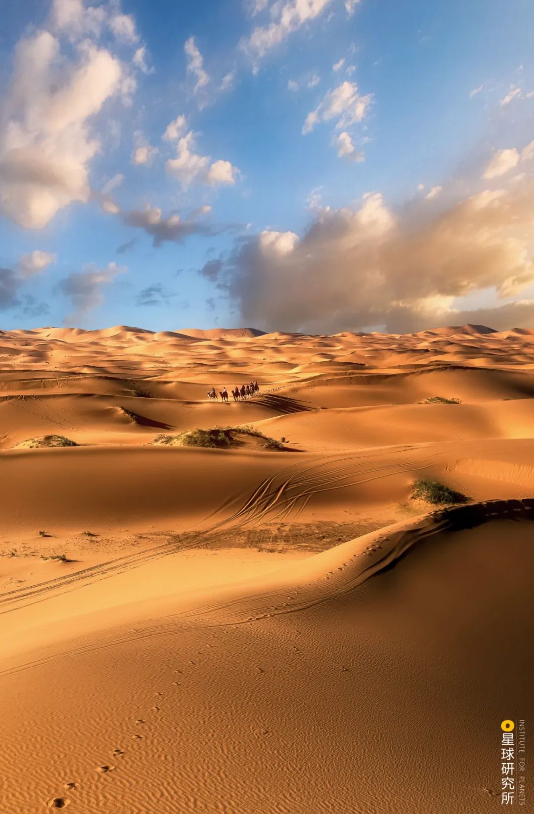 什么鬼城市,煤炭鬼城