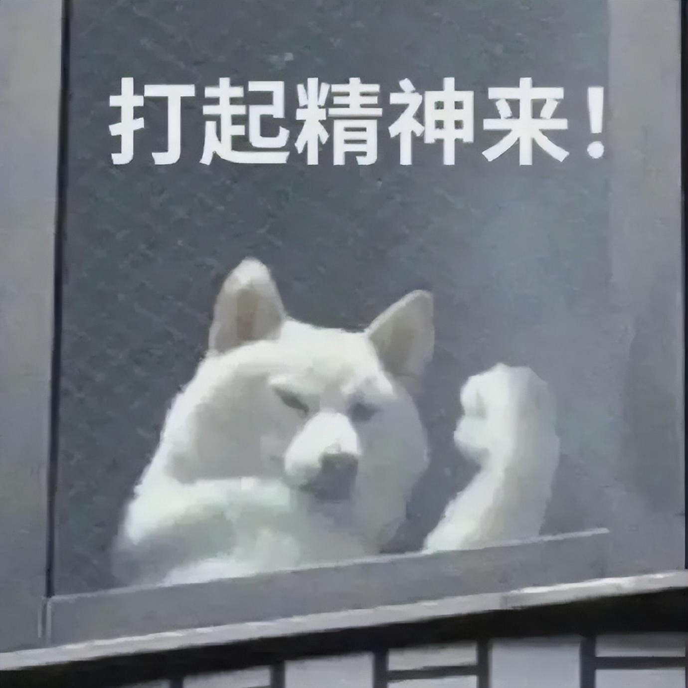 小胖子tatan表情包合集,tatan小胖子表情包对话