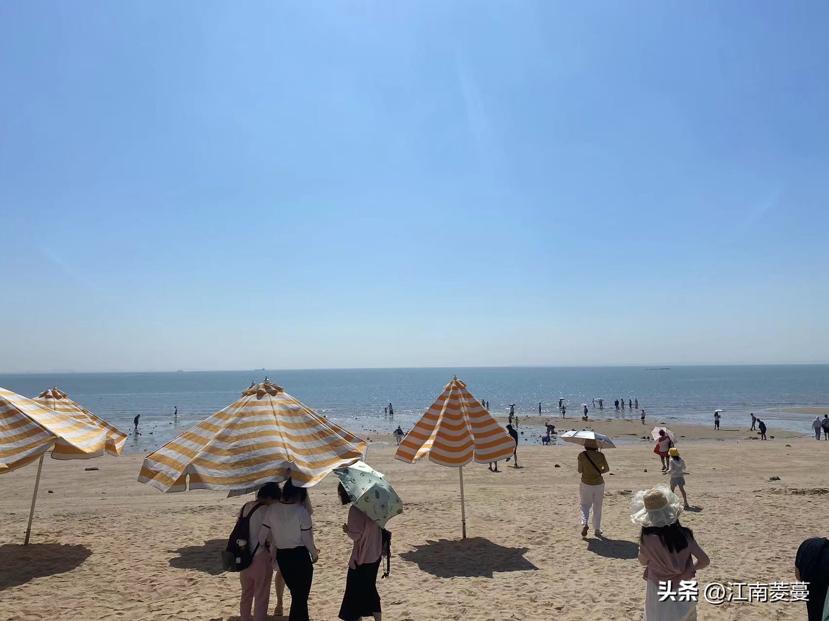 为什么那么多人选择去厦门旅游,浙江海岛和厦门哪里值得去