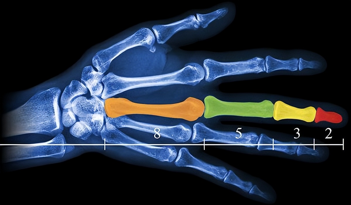 上帝的数字是什么,上帝的数字是20