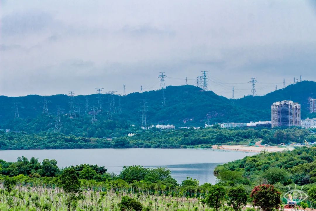 深圳周末休闲放松的好地方有哪些,周末去哪玩深圳推荐几个地方