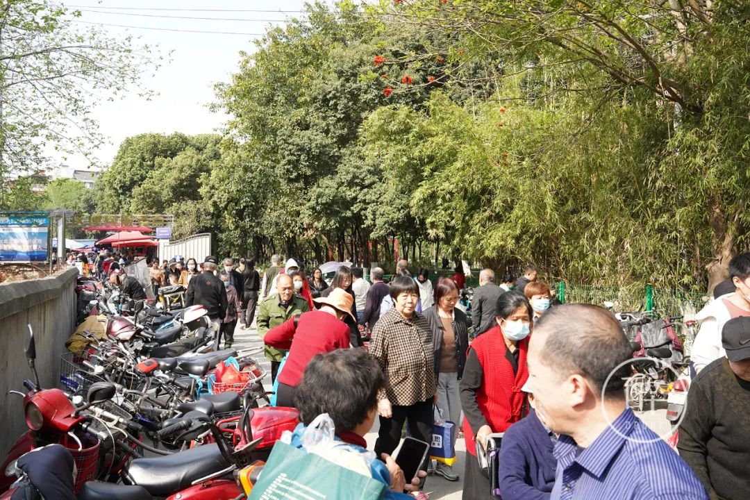 成都这个市场只开半天还放高温假，地图上找不到