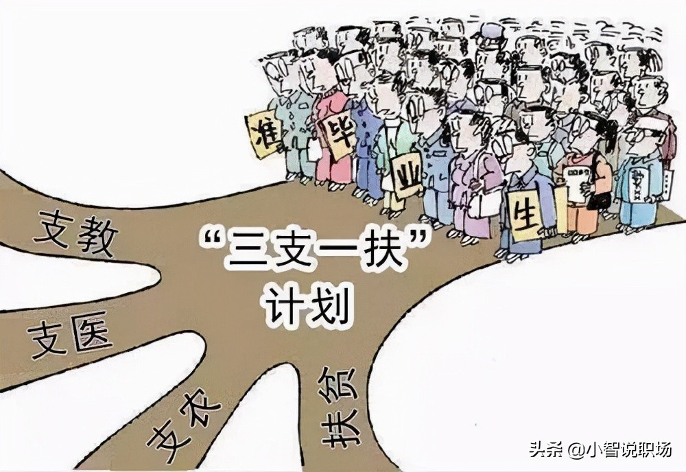 应届毕业生怎样进事业单位,2024应届毕业生如何进入体制内