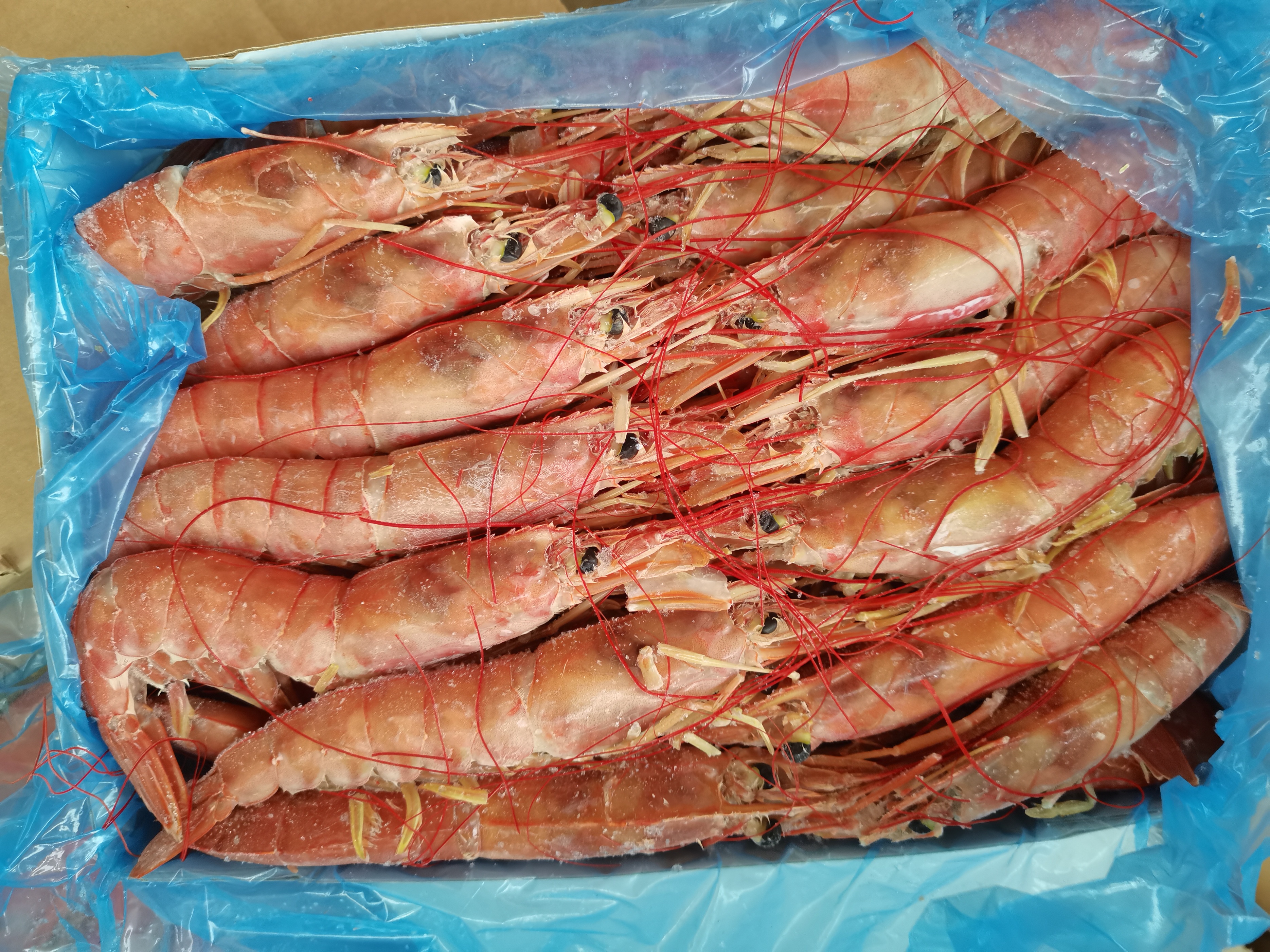 阿根廷红虾的营养价值及功效口感,阿根廷红虾和白虾哪个更有营养