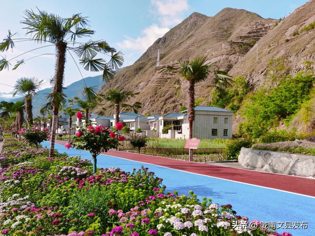 五一想去玩哪也没去,文县旅游一日游