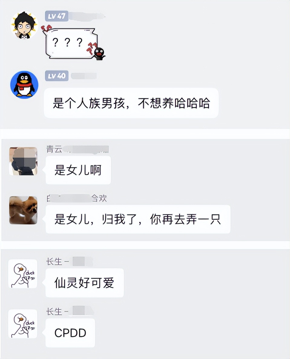 梦幻新诛仙养什么仙灵,梦幻新诛仙委培的仙灵在哪里找回